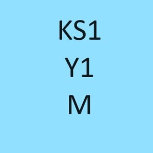 Year 1 Mastery M Pack of 6